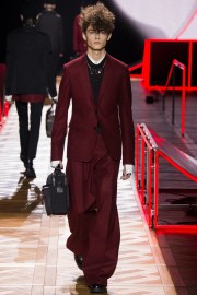 Dior Homme Fall 2016 Look 17