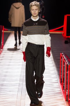 Dior Homme Fall 2016 Look 31