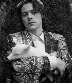 Harry Styles Gucci Cruise 2019 Campaign-6