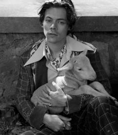 Harry Styles Gucci Cruise 2019 Campaign-7